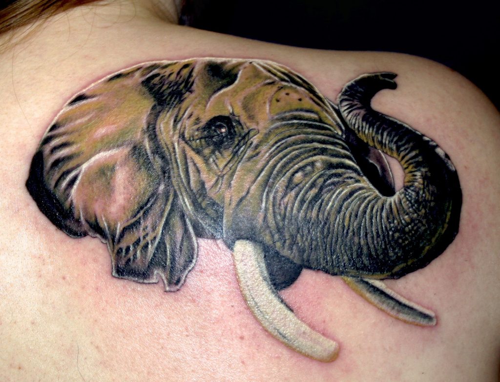 Elephant by Spiro at Artistic Impressions Tattoo Studio located in Katy, Texas