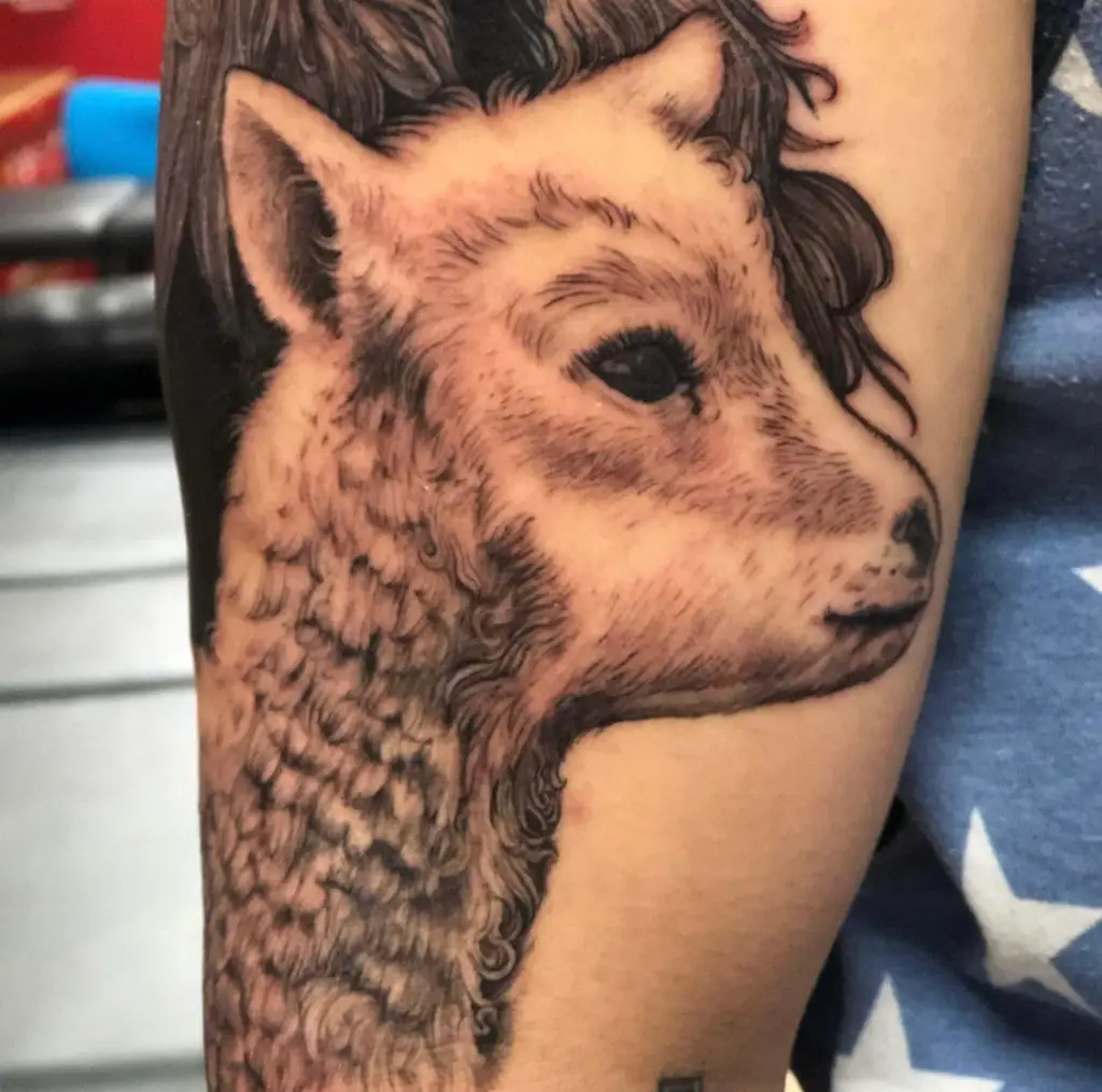 a tattoo of a lamb head by Christina at Artistic Impressions Tattoo Studio in Cypress, Texas