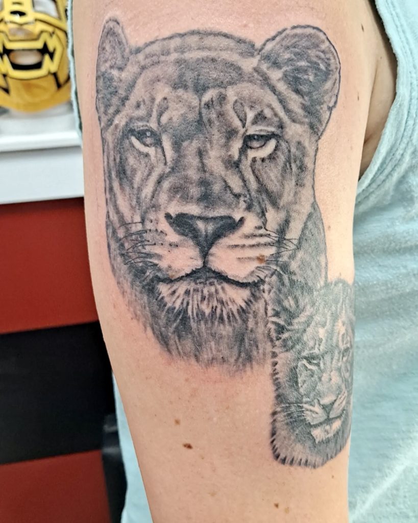 a portrait of a lion tattoo by Mike at Artistic Impressions Tattoo Studio in Katy, Texas