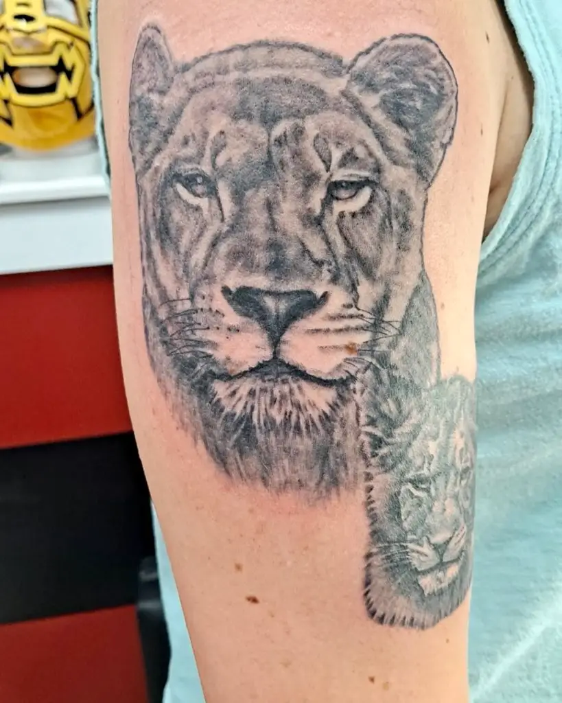 a portrait of a lion tattoo by Mike at Artistic Impressions Tattoo Studio in Katy, Texas