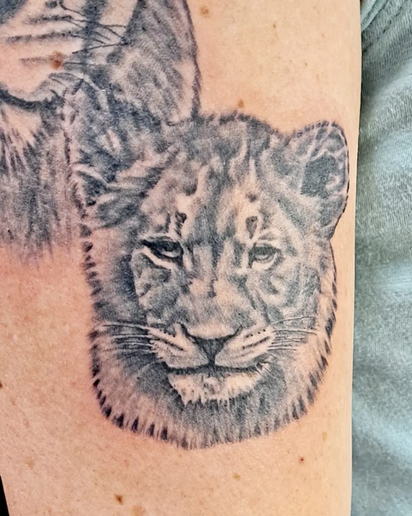 a portrait of a lion tattoo by Mike at Artistic Impressions Tattoo Studio in Katy, Texas