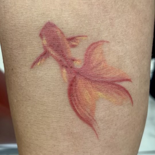 Koi Fish Temporary Tattoos for Woman Man Lasting Plum Blossom Goldfish  Tattoo Thigh Arm Art Fake Tattoo Waterproof Stickers - AliExpress